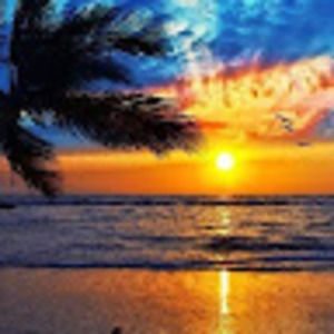 Meet your Posher, Jayne